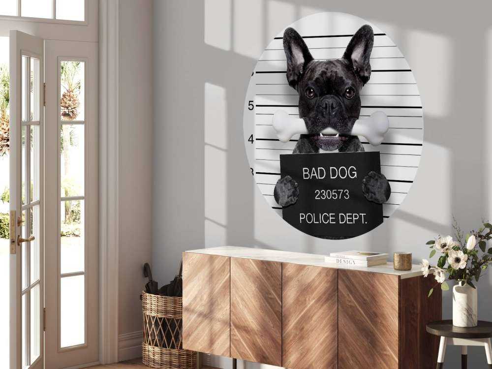 Franse Bulldog in de gevangenis