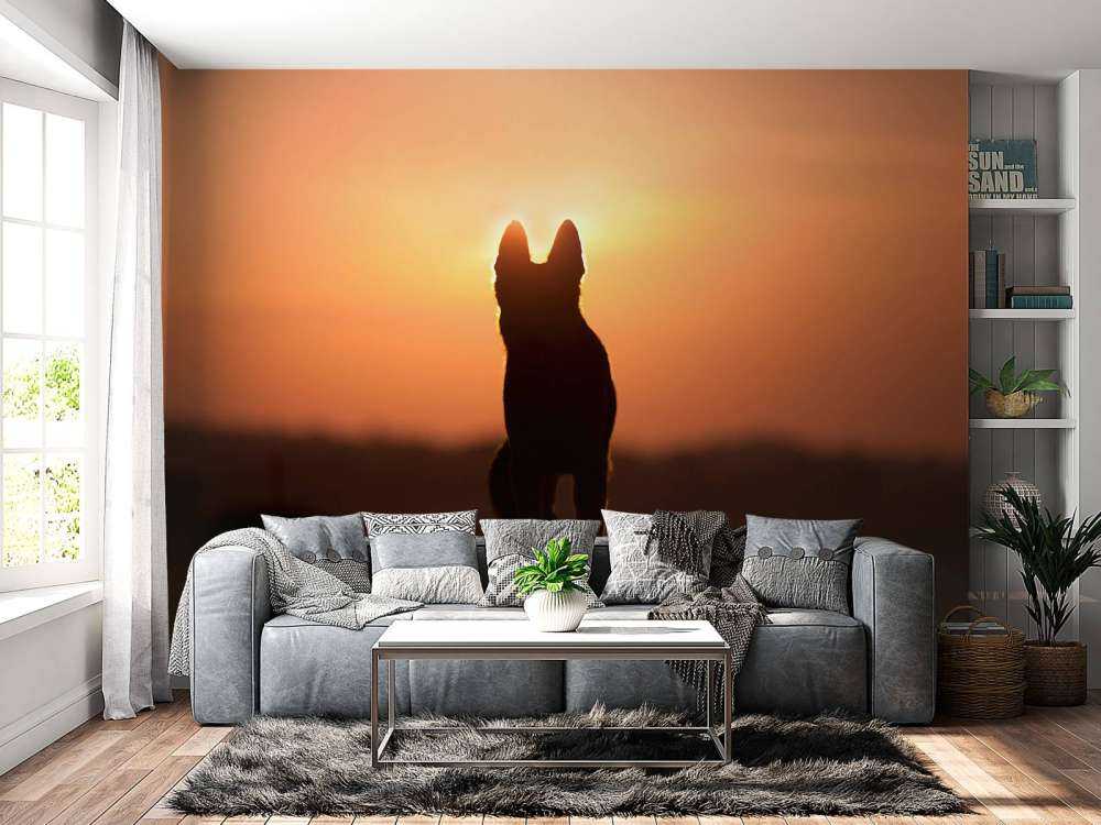 Hond bij zonsondergang