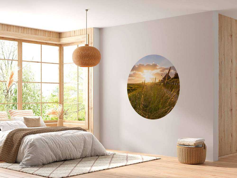 Riet bij zonsondergang