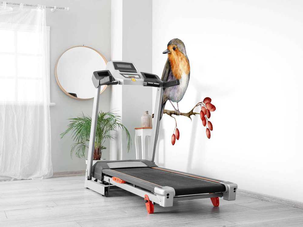 Vogeltje op een takje met een witte achtergrond