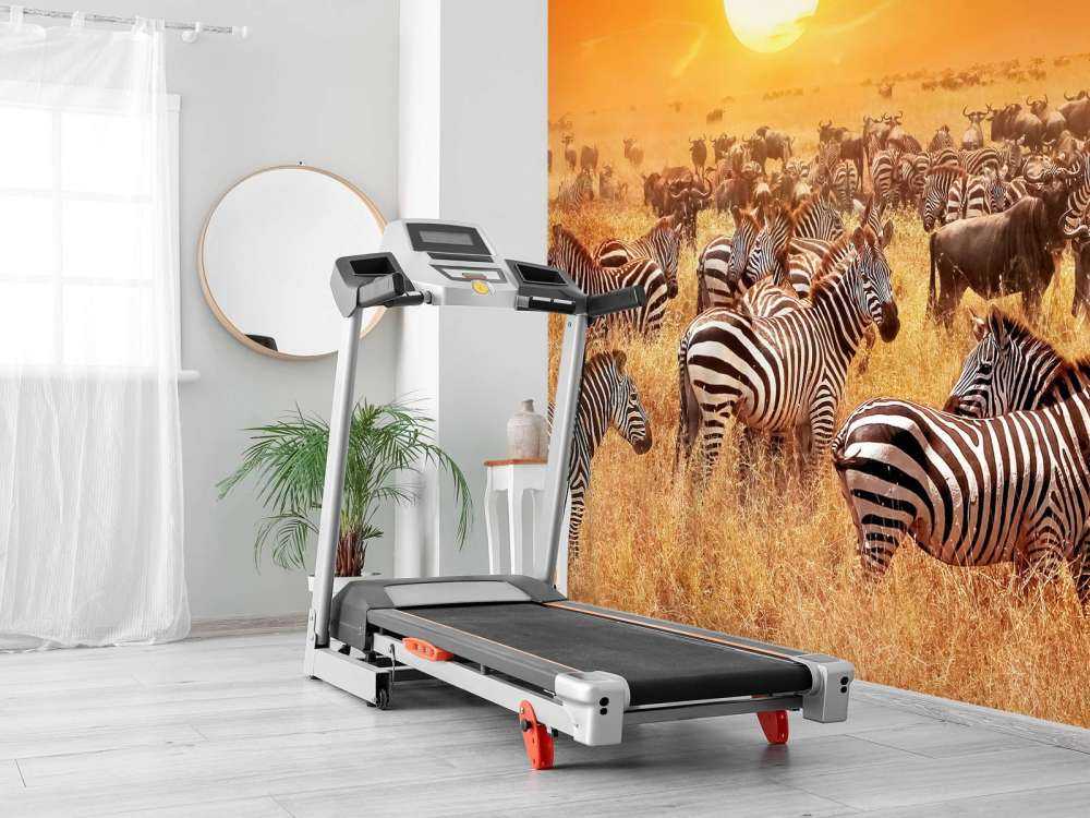 Savanne zon met zebra's