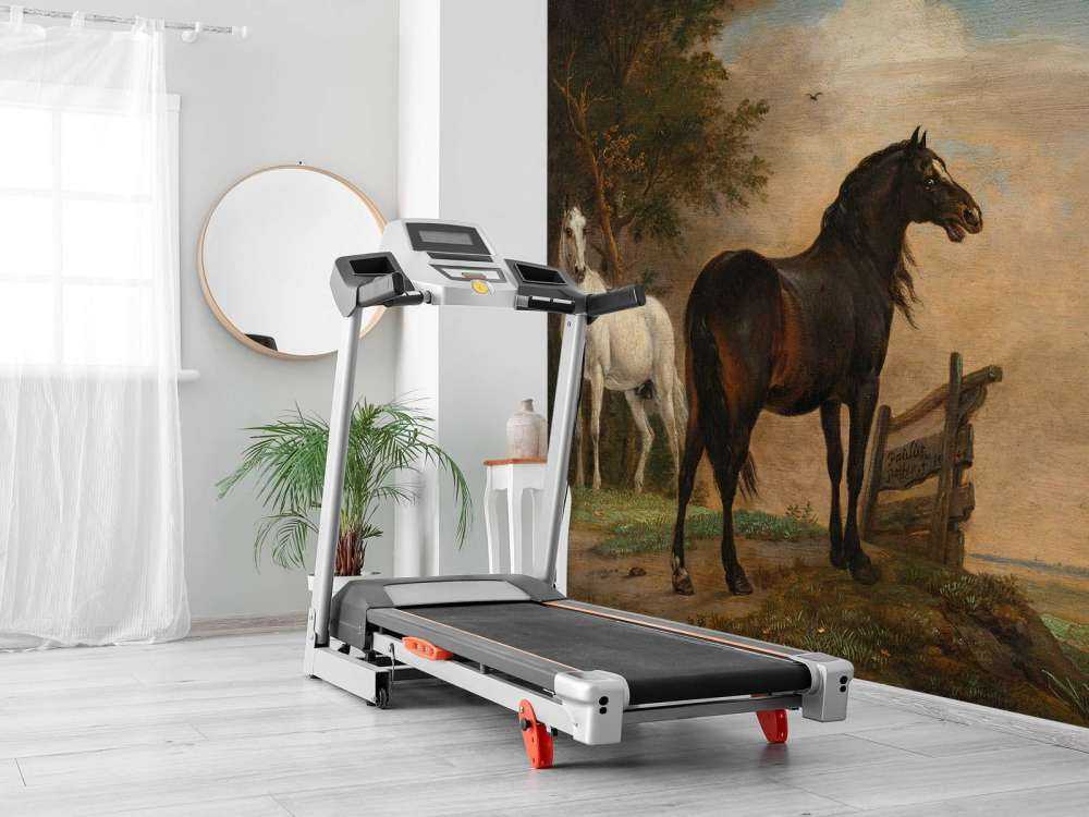 Twee paarden in de weide bij een hek