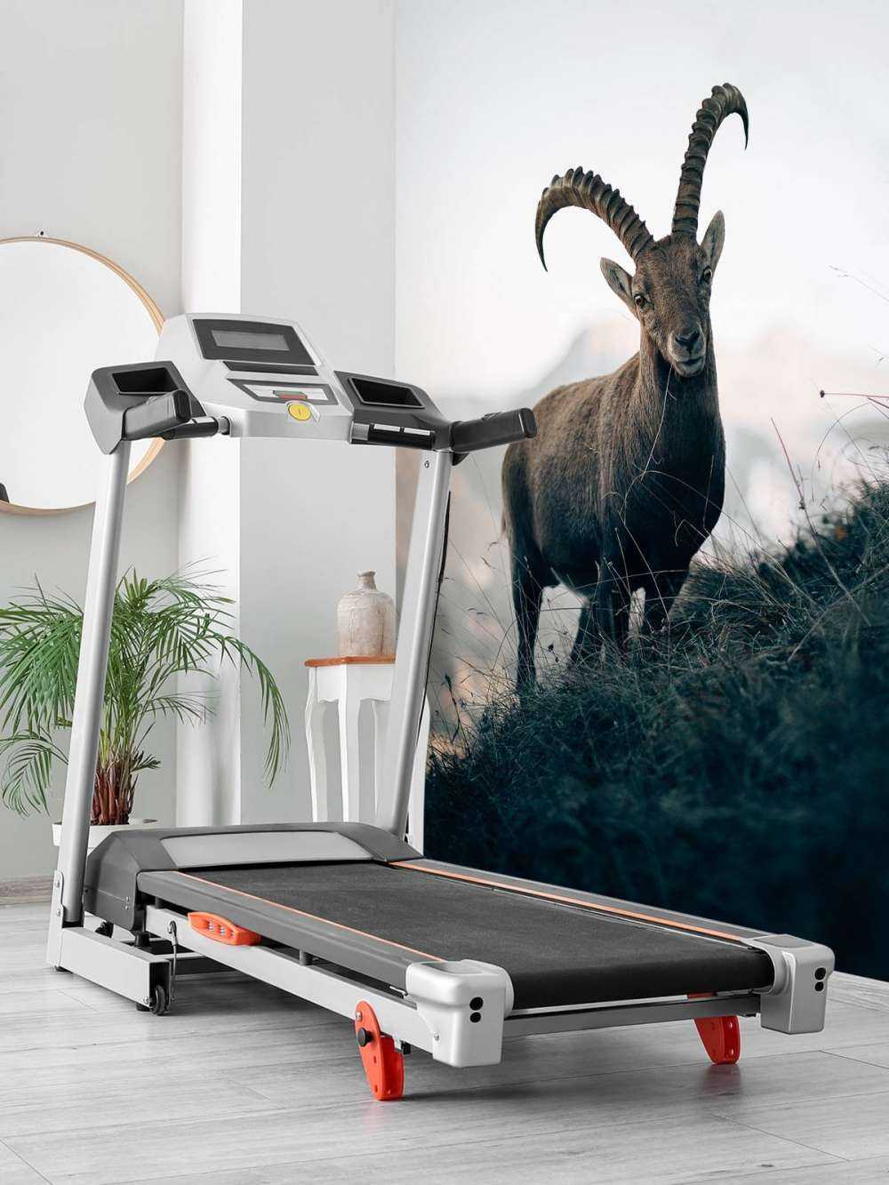 Steenbok in de bergen