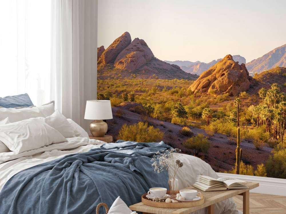 Woestijnlandschap met cactussen