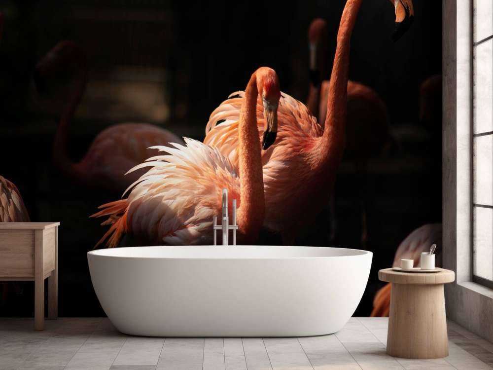 Flamingo's met een donkere achtergrond