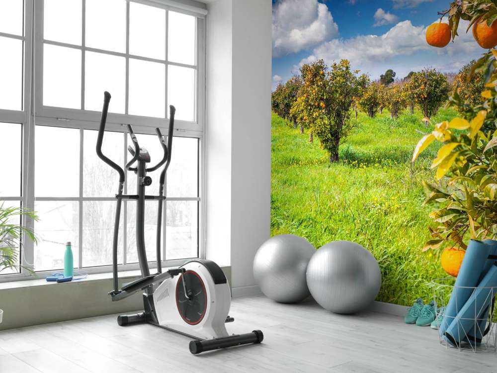 Sinaasappelbomen in Sicilië