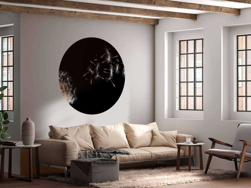 Paardebloem met een zwarte achtergrond