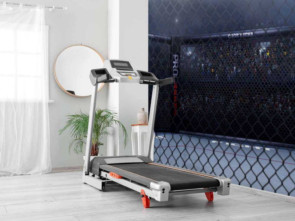 MMA arena van dichtbij