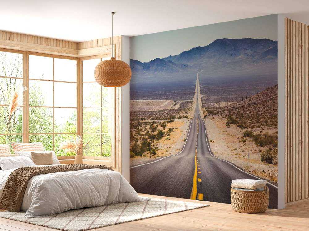 Weg door een Amerikaanse woestijn