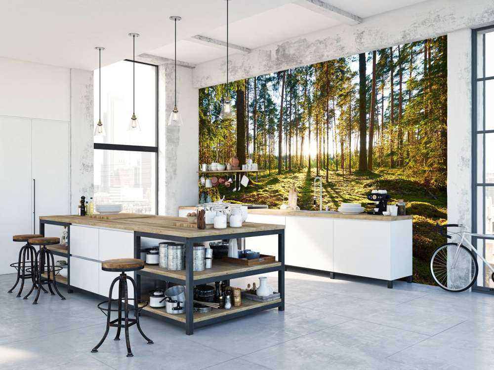 Dennenbos