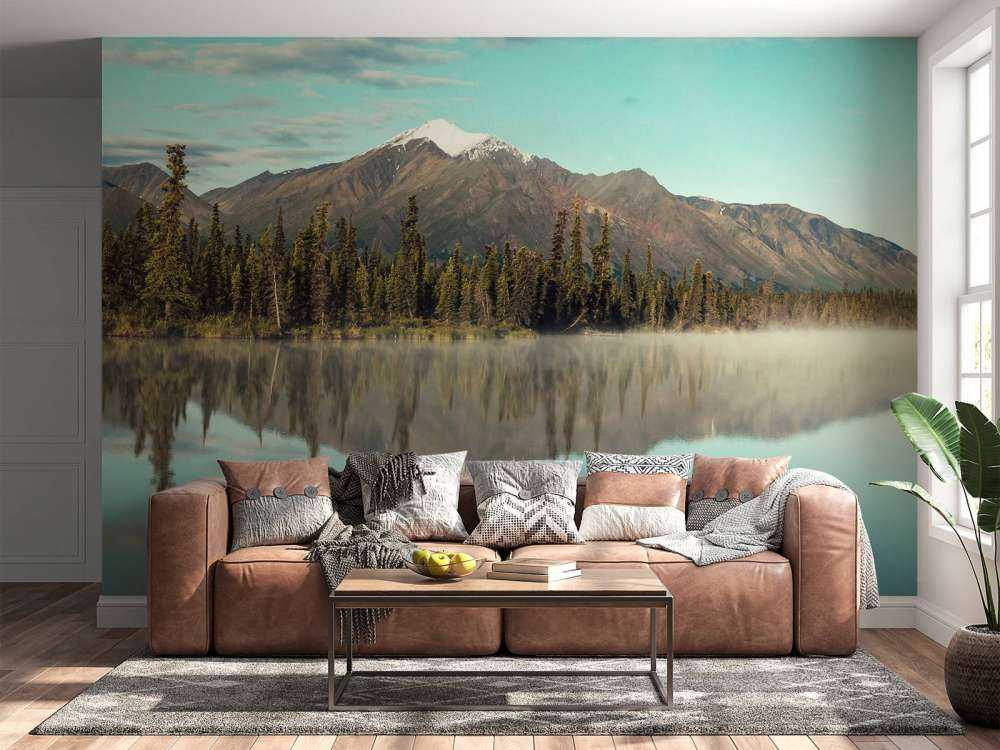 Landschap in Alaska