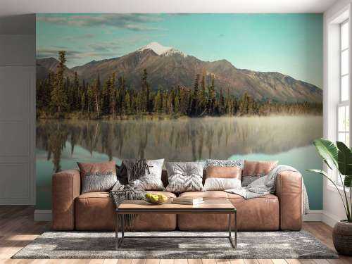 Landschap in Alaska