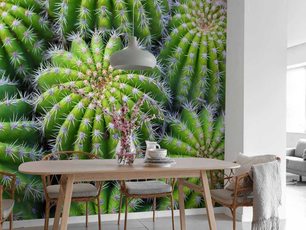 Cactussen