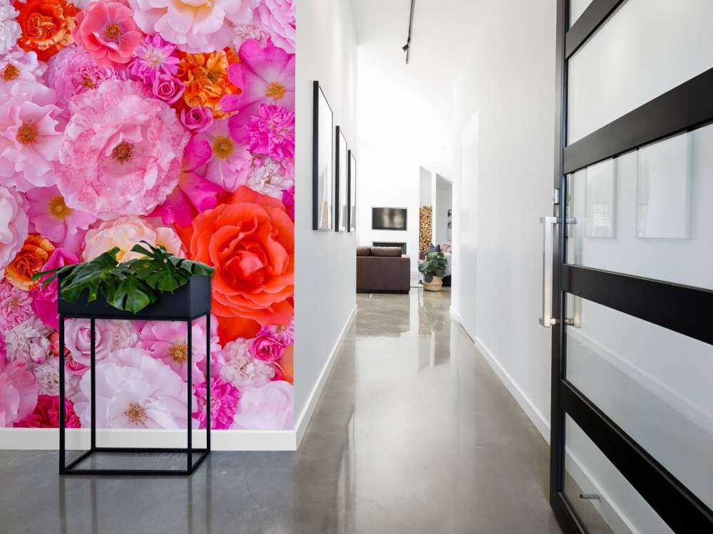 Full frame of variety of garden roses, flower background