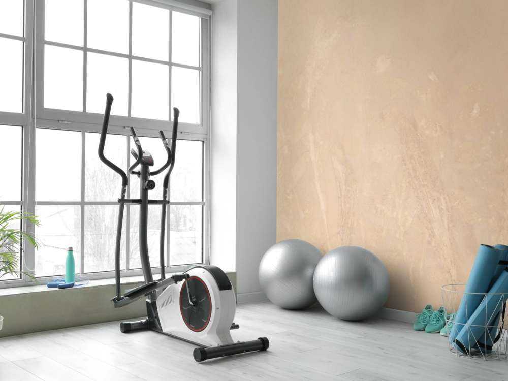 Schapenzuring en struikwilg - sepia