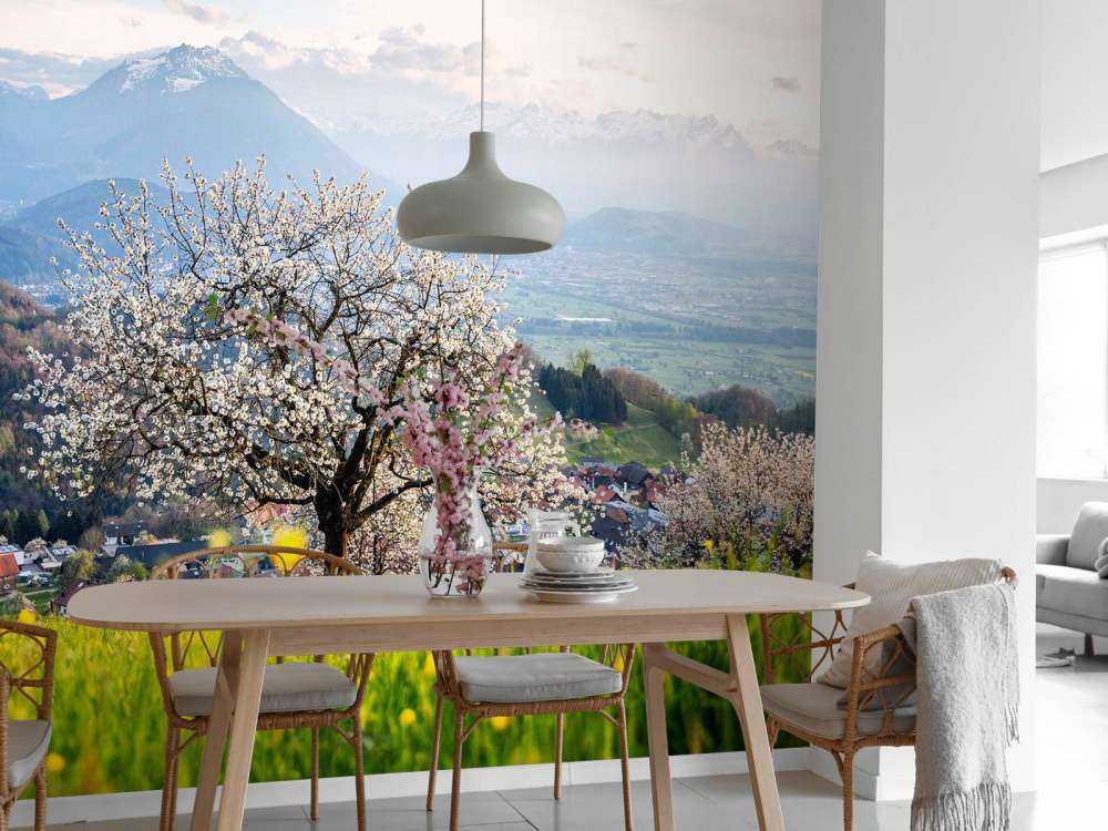 Bloesemboom in bergdal bij lentezon