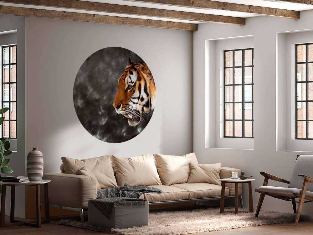 Wilde Tijger op zoek naar prooi