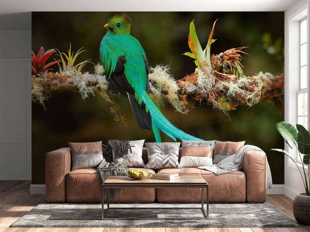 Blauwe Quetzal in Sri Lanka