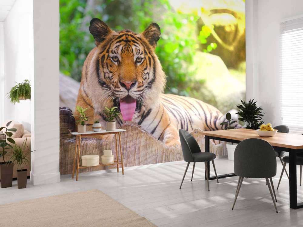 Siberische Tijger steekt tong uit