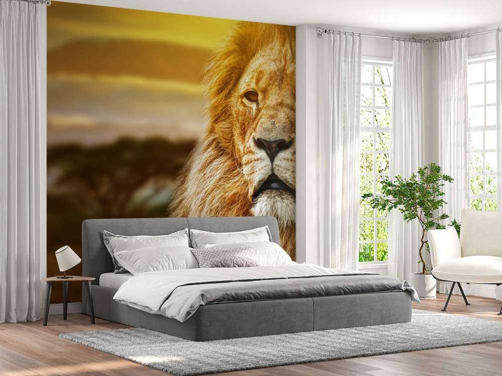 Leeuw in een savanne landschap