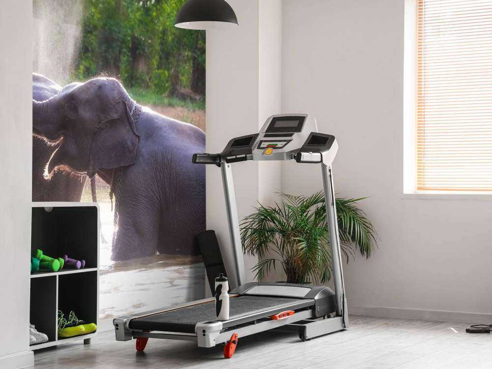 olifanten spelen in het water