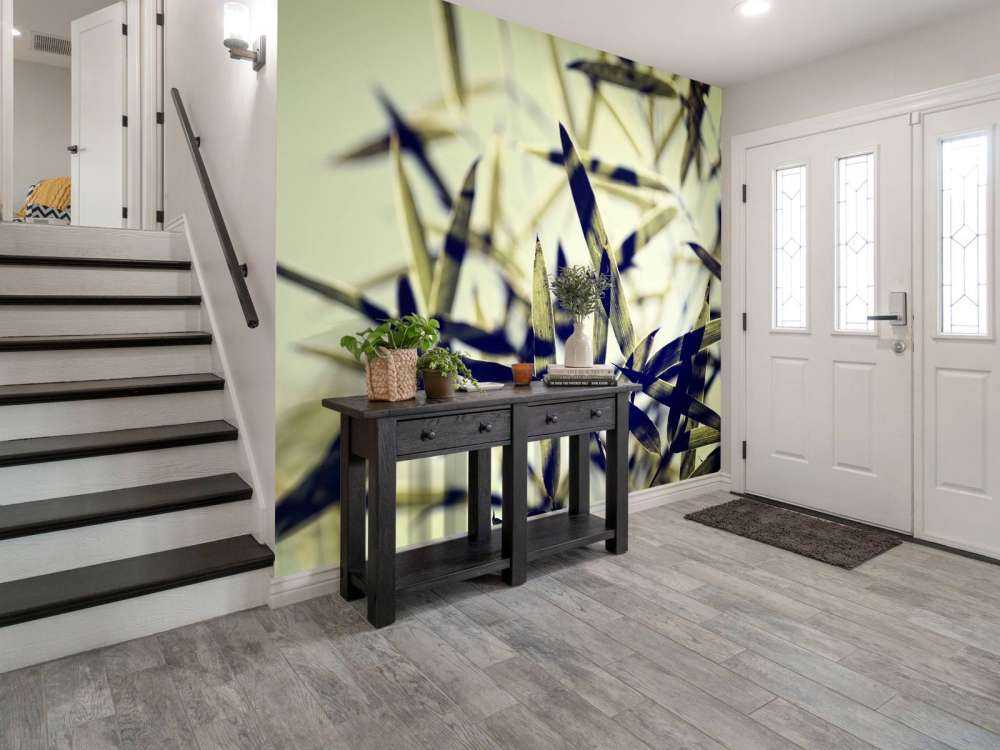 Bamboe bladeren in de zon