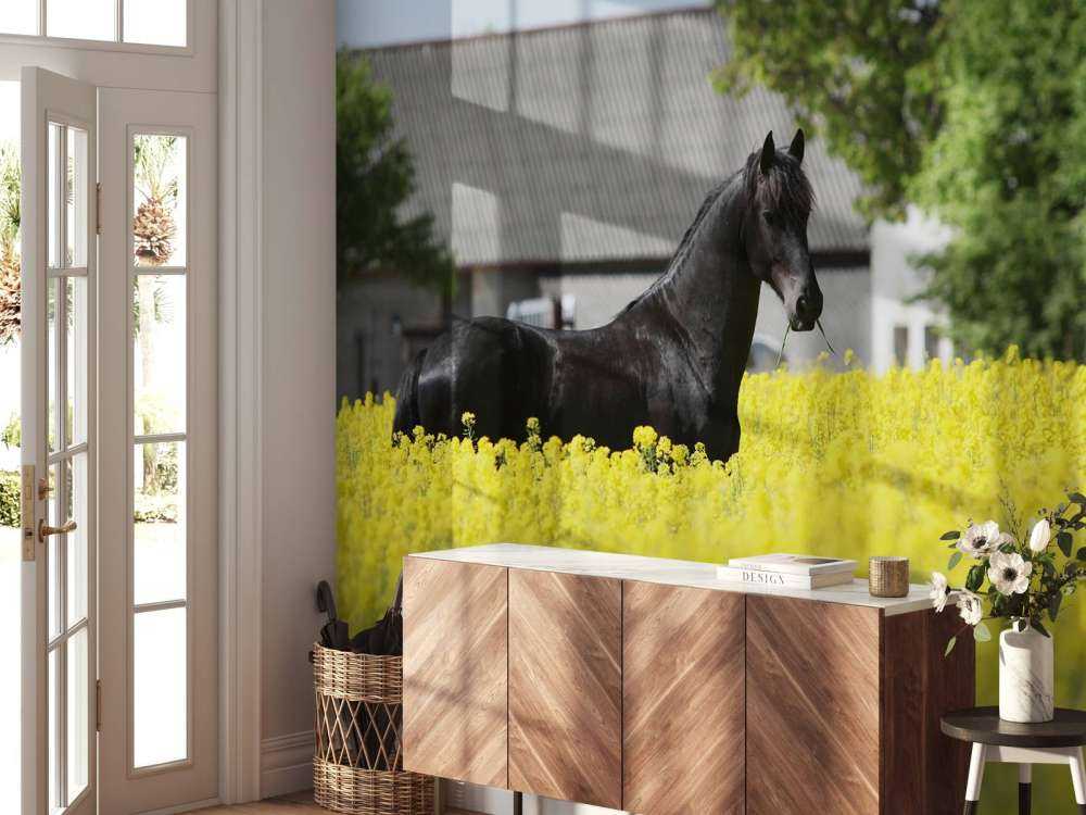 Zwart Fries Paard in de lente tussen de bloemen