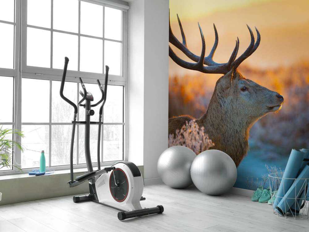 Edelhert met zichtbaar Gewei