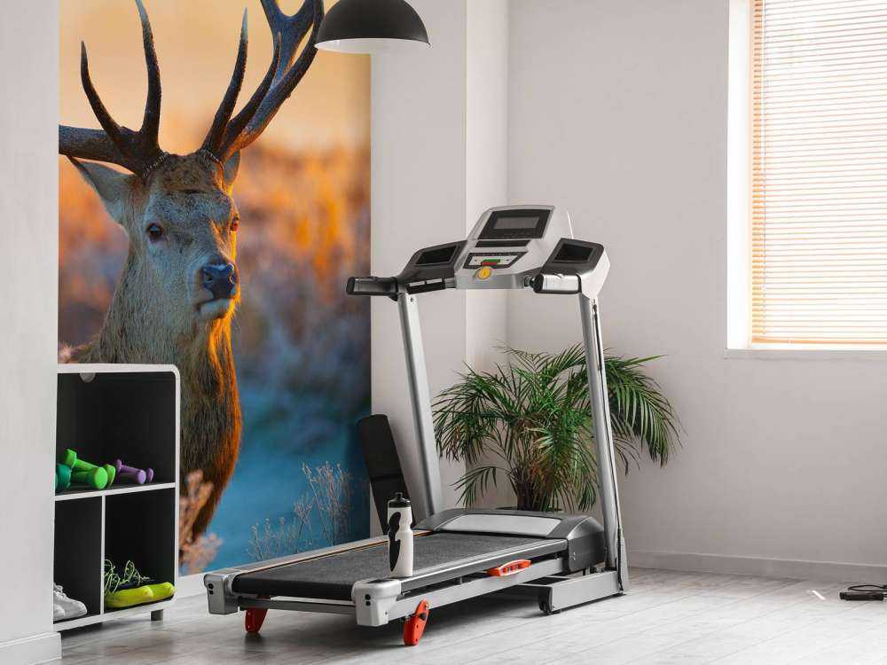 Portret van een Hert (Edelhert)