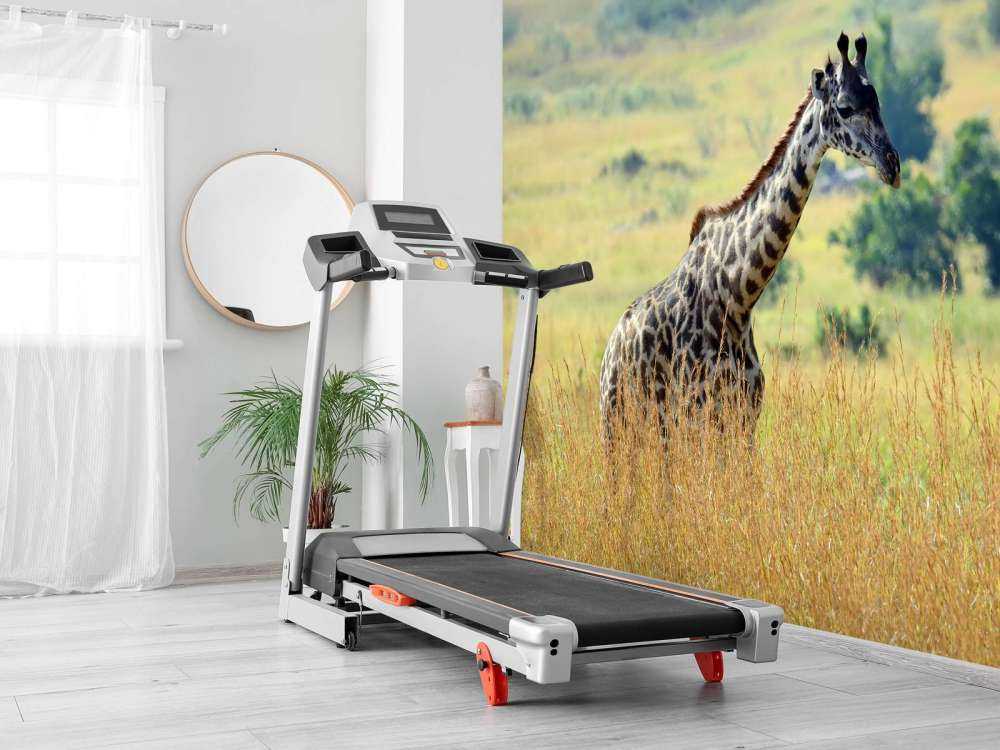 Lichte Giraffe in de natuur