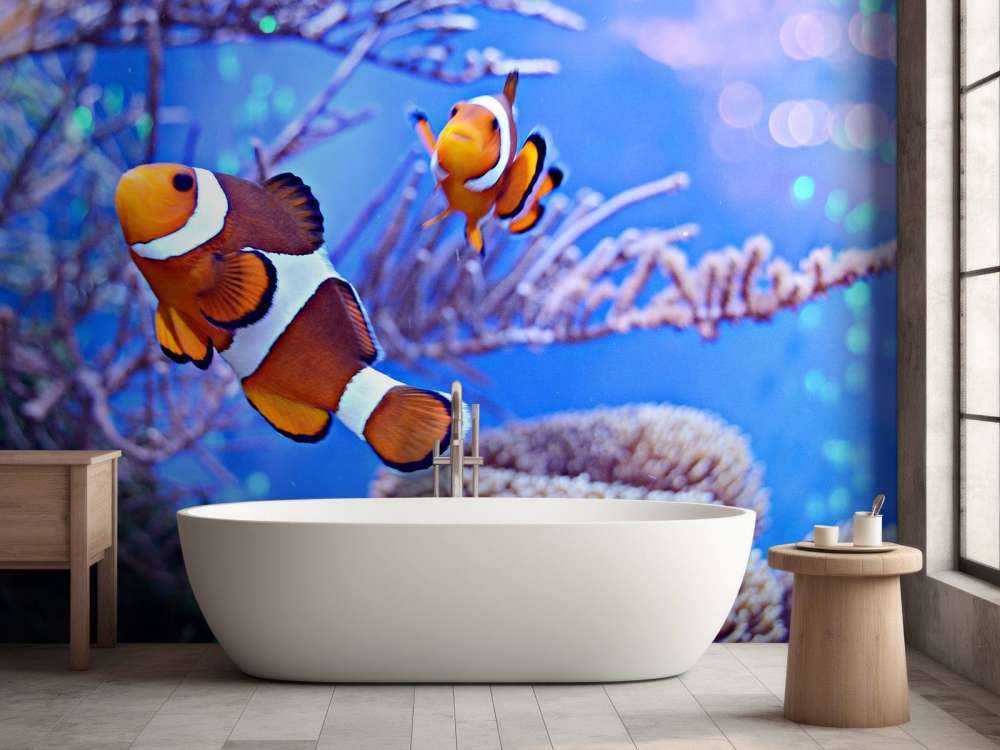 Anemoonvissen in een groot aquarium