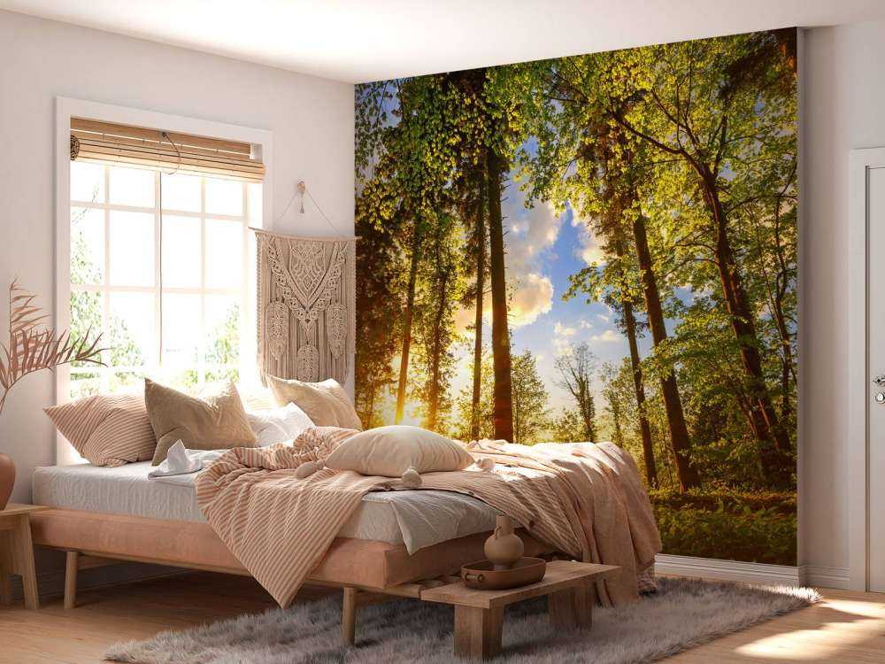 Zonsondergang door de bomen