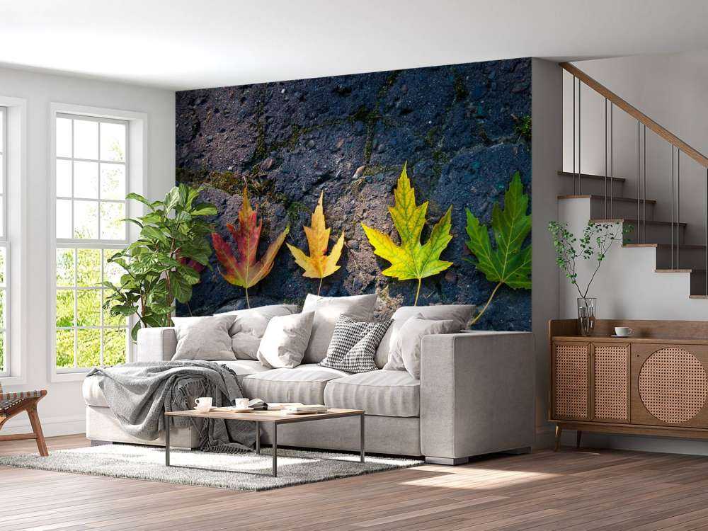 Kleurrijke bladeren in de herfst