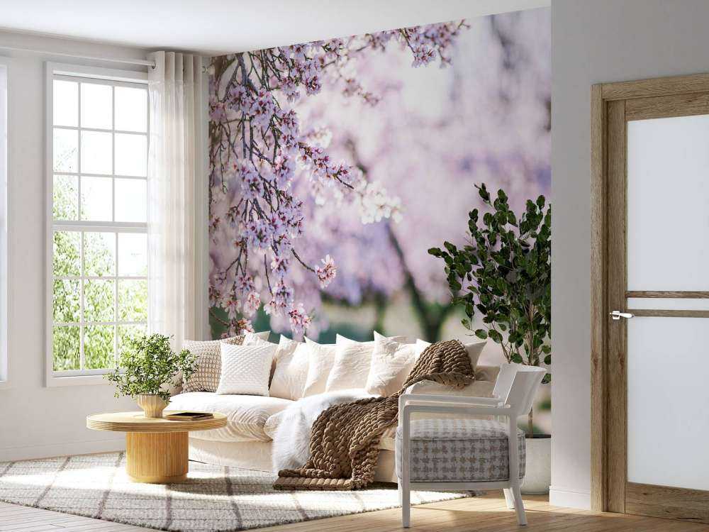 Bloeiende Amandelbomen