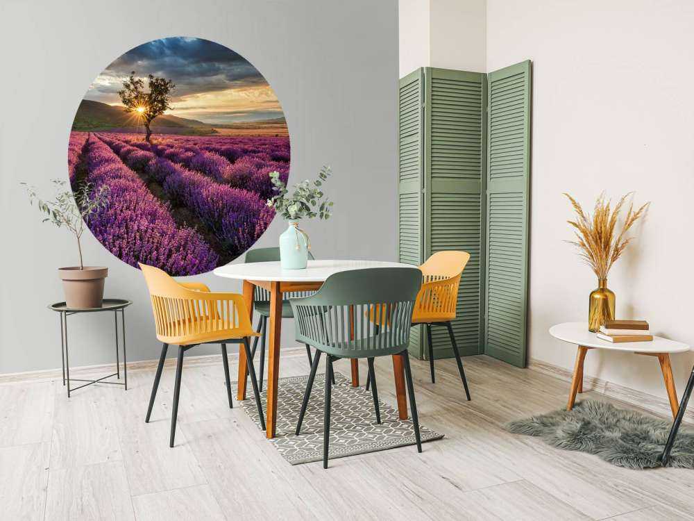 Prachtig landschap met lavendel veld bij zonsopkomst