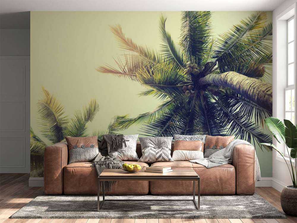 Palmboom Bladeren Vintage