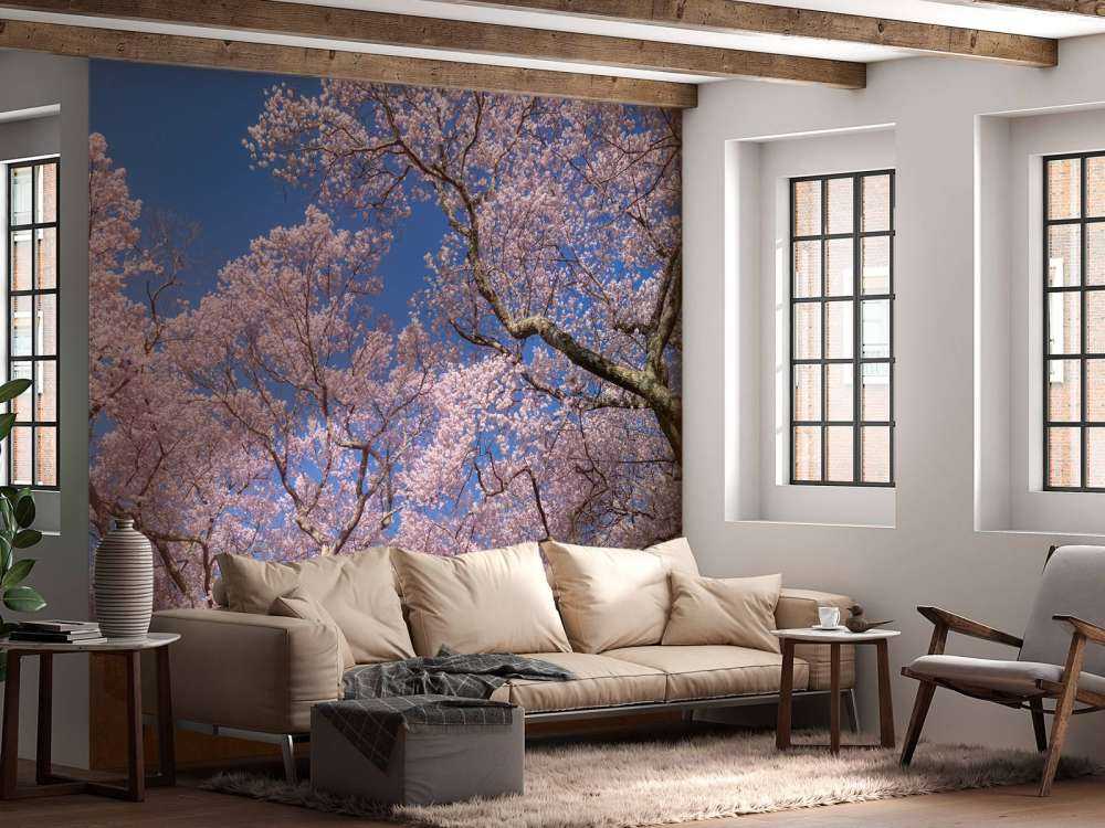 Bloesems met blauwe lucht