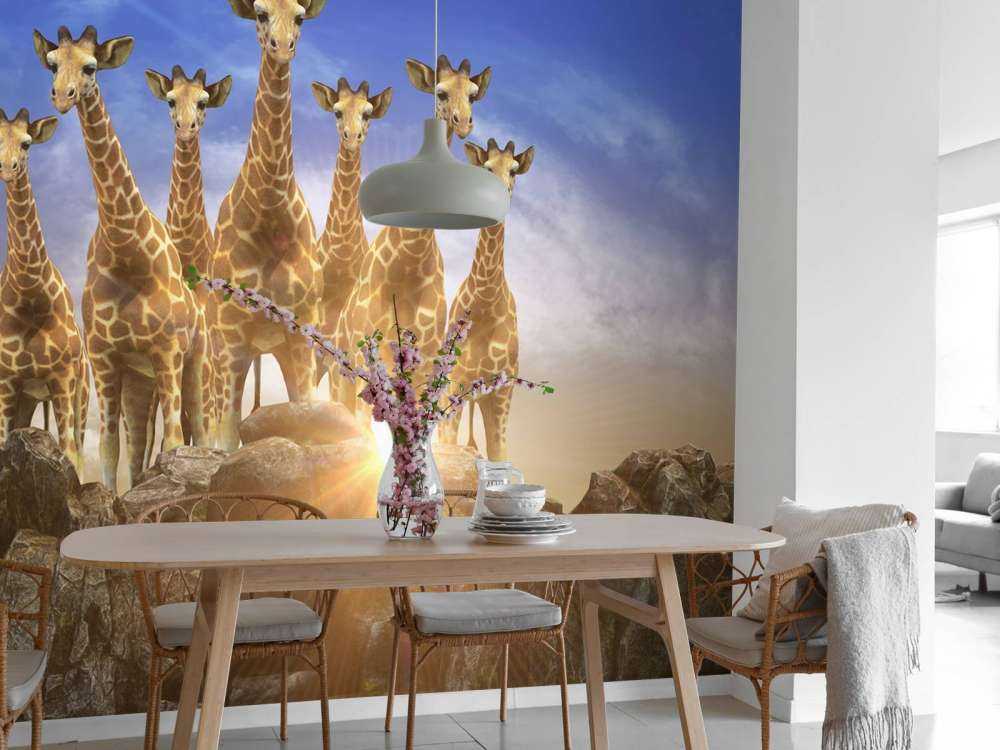 Giraffen bij zonsondergang