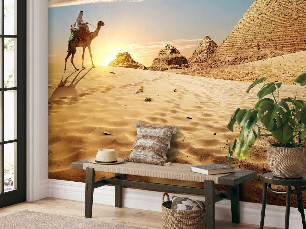 Kameel in de woestijn bij zonsondergang