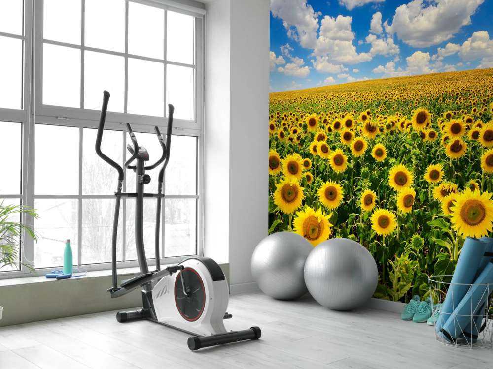 Zonnebloemveld onder een heldere lucht