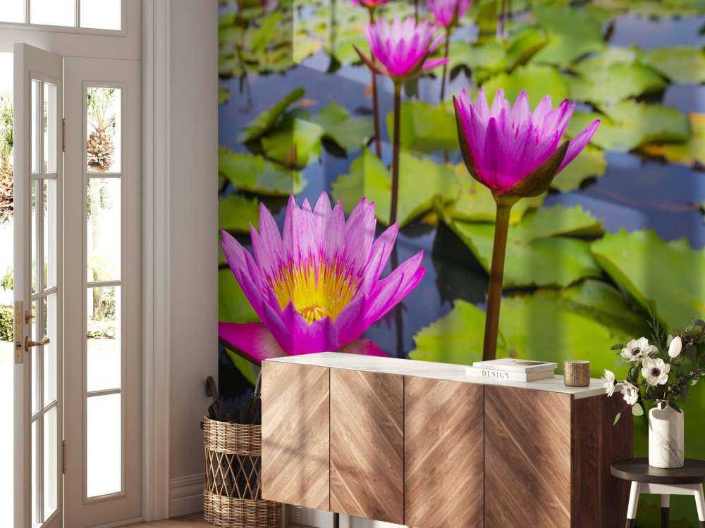 Opvallende roze lotusbloem