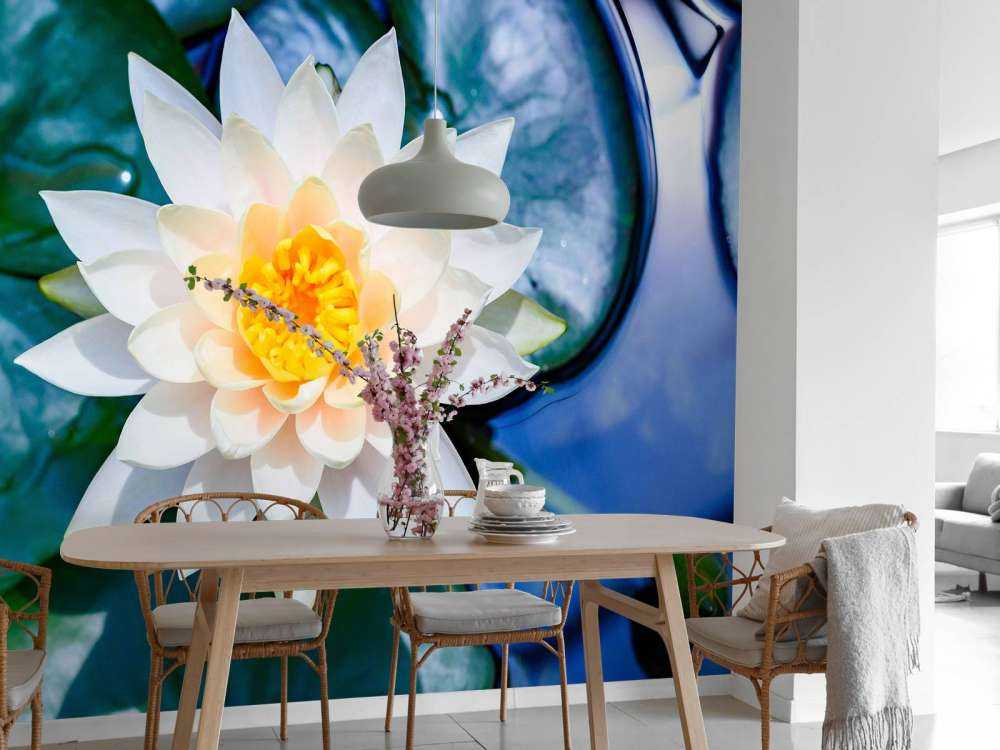 Witte lotusbloem met gele kern