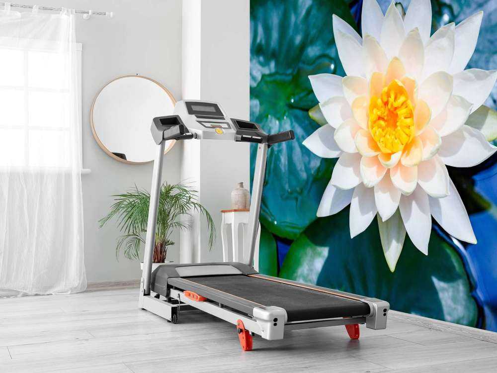 Witte lotusbloem met gele kern