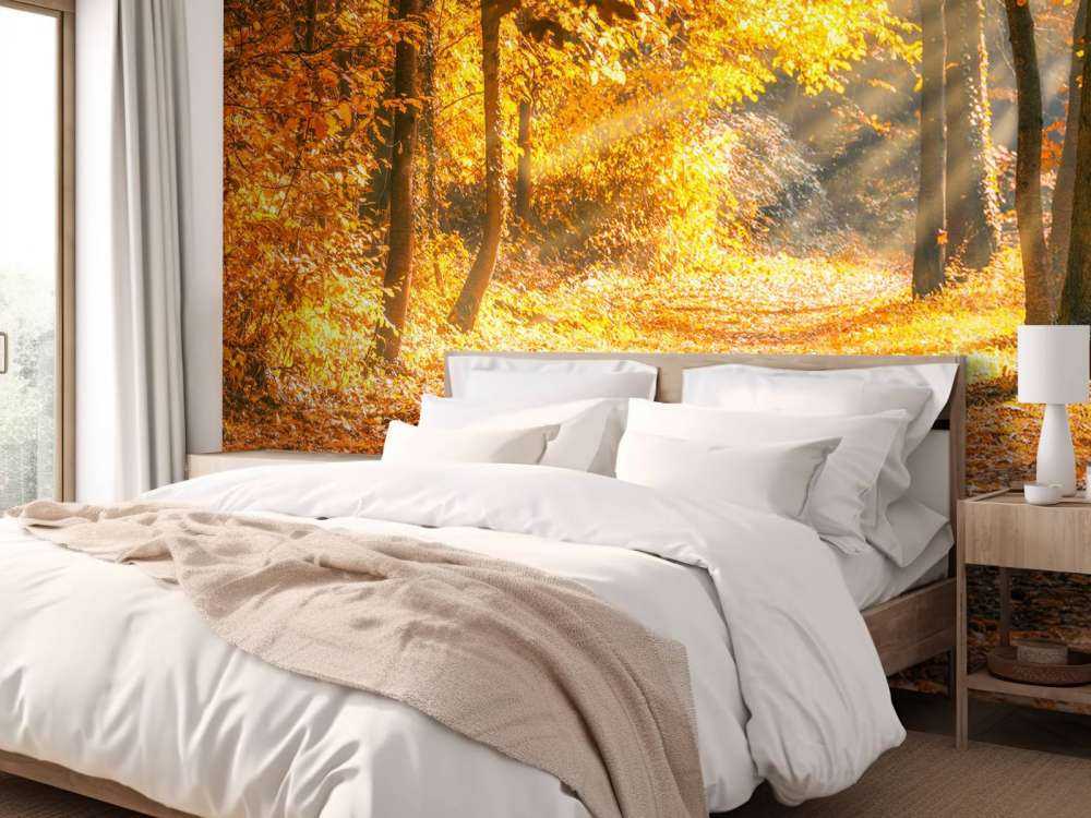 Panorama in de herfst