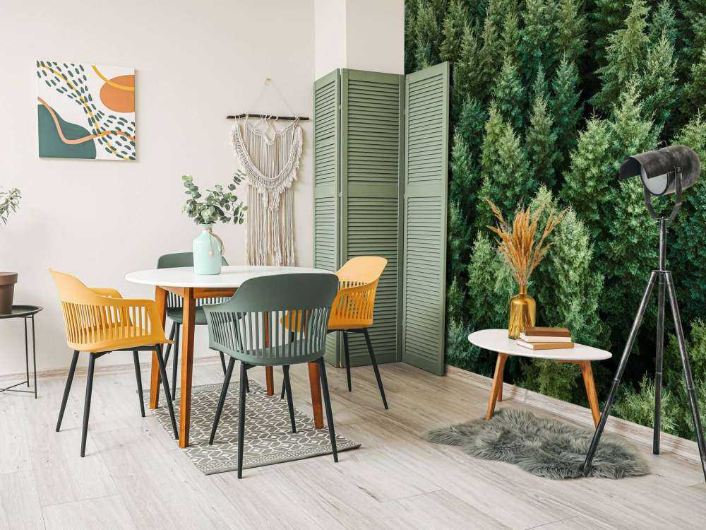 Douglassparren van boven