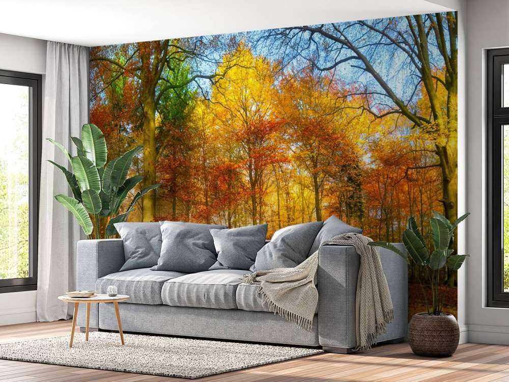 Kleurrijk bospanorama