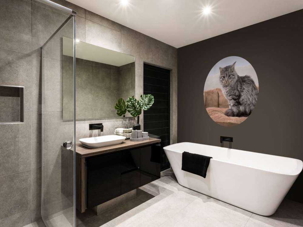 Grijze kat zit in een mand