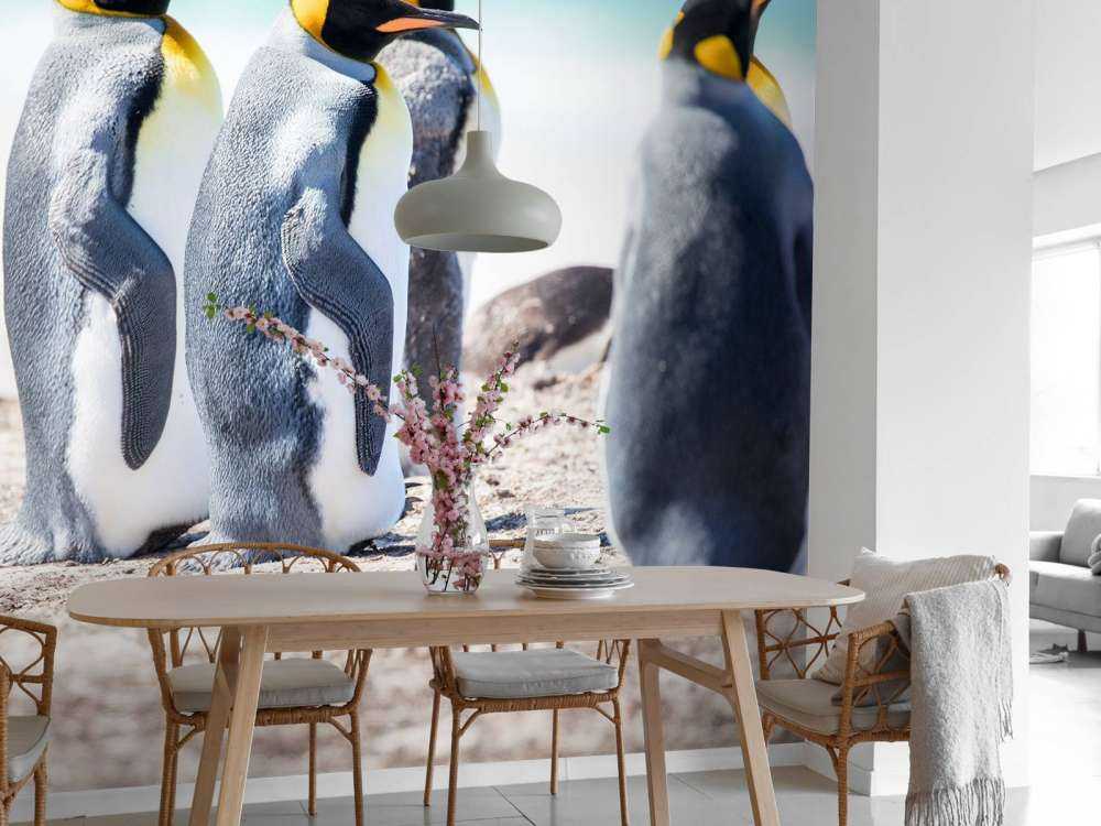 Vier pinguïns verkennen de Noordpool