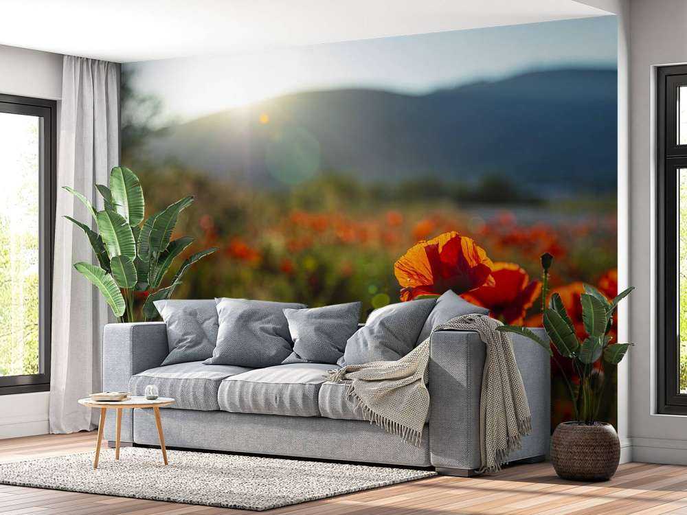 Klaprozen met zonnestralen