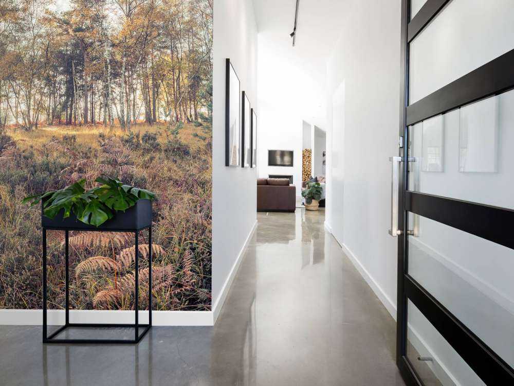 Bos tijdens de ochtend